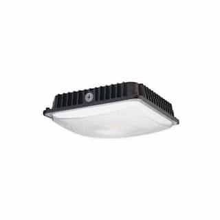 65W LED Canopy Light, 200W MH Retrofit, 0-10V Dimmable, 6600 lm, 5000K, Bronze