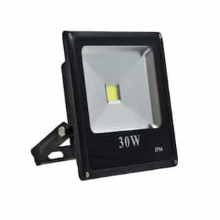 Dabmar 30W Slim LED Flood Light, 2100 lm, 85V-265V, 6500K, Black