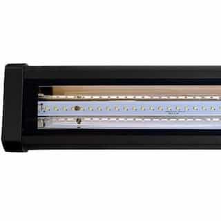 Dabmar 36W LED Linear Flood & Sign Light, 3384 lm, 85V-265V, 5000K, Black