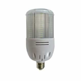 Dabmar 30W LED Corn Bulb, E26, 3000 lm, 120V-277V, 6000K