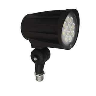 28W LED Directional Spot Light, 3000 lm, 120V-277V, 4000K, Black