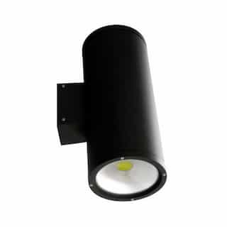 Dabmar 20W LED Wall Sconce, 2 Lamps, 2400 lm, 5000K, Black