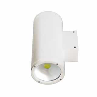 Dabmar 20W LED Wall Sconce, 2 Lamps, 2400 lm, 5000K, White