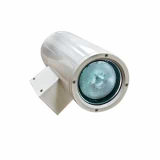 Dabmar 18W LED Wall Sconce, Spot, 6400K, White