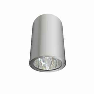 Dabmar 18W LED Ceiling Light, Spot, 6400K, Aluminum
