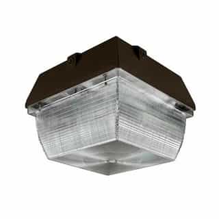 Dabmar 20W LED Canopy Light, G24, 5000K, Bronze