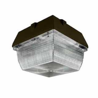 Dabmar 8" 20W LED Medium Canopy Light, G24, 3000K, Bronze