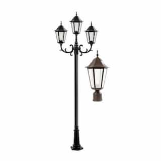 6W 10-ft LED Post, Three-Head, 1550 lm, 120V, Bronze/Frosted, 3000K