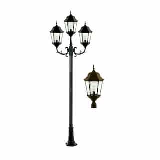 20W LED Lamp Post, Three-Head, 120V-277V, Bronze/Clear