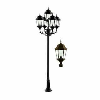 20W LED Lamp Post, Five-Head, 120V-277V, Bronze/Clear
