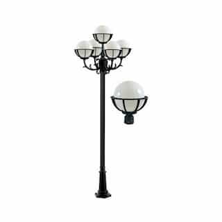 10-ft 6W LED Globe Lamp Post, Five-Head, A19, 120V, Black