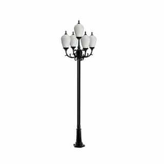 10-ft 6W LED Alisa Lamp Post, Five-Head, A19, 120V, Black