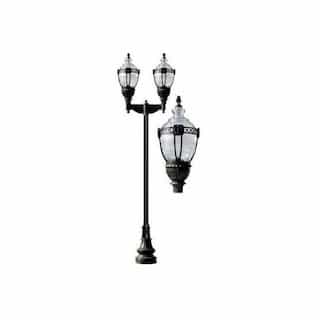 Dabmar 120W 2 Light Clear Top Decorative Base Acorn LED Lamp Post Fixture, Black