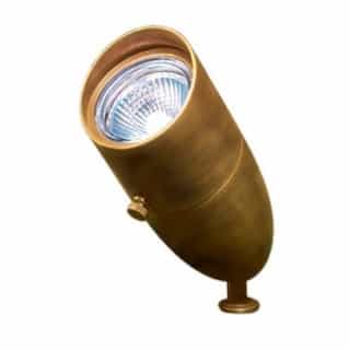 Brass In-Ground Directional Spot Light w/o Bulb, Bi-Pin, 12V, ABS