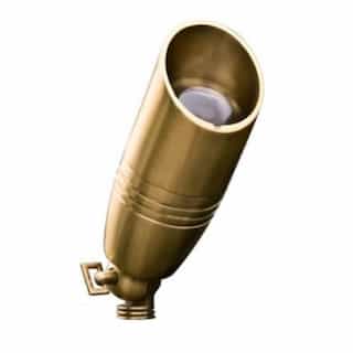 In-Ground Directional Spot Light w/ Hood w/o Bulb, Bi-Pin, 12V, Brass