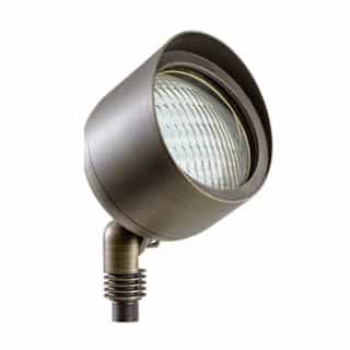 4W LED Brass Directional Flood Light w/ Hood, PAR36, 12V, 3000K, WBS