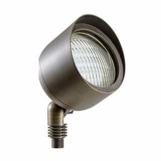 9W LED Brass Directional Flood Light w/ Hood, PAR36, RGBW Lamp, WBS