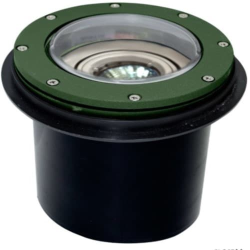 Dabmar 9W Adjustable LED Well Light Fixture, In-Ground, PAR36, Green