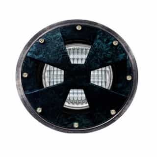 Dabmar 9W LED Adj Drive-Over In-Ground Well Light, PAR36, 12V, RGBW Lamp, GN