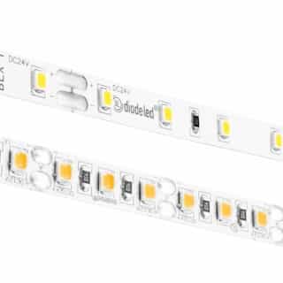 Diode LED 100-ft 4.3W LED Tape Light, Dim, 318 lm, 12V, 2400K