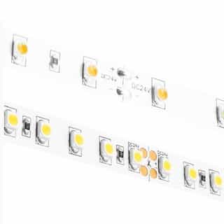 Diode LED 100-ft 1.46W/ft Blaze LED Tape Light, 24V, 2200K