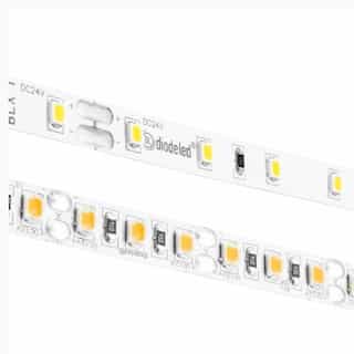 Diode LED 100-ft 3.1W LED Tape Light, Dim, Wet Location, 204 lm, 24V, 2400K
