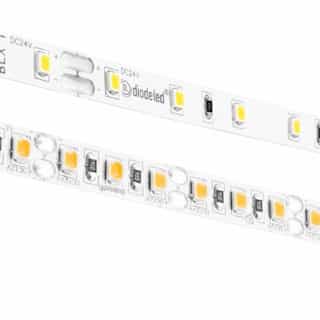 Diode LED 100-ft 4.3W LED Tape Light, Dim, 264 lm, 24V, 2000K
