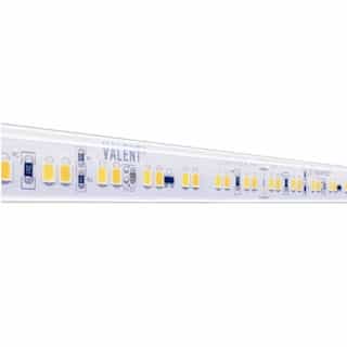 Diode LED 16.4-ft 4.4W/ft Valent Warm Dim Tape Light, Wet, 24V, 3000K-1800K