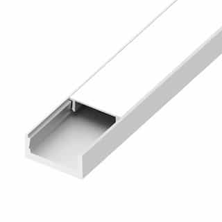Diode LED 4-ft SLIM Channel Bundle w/ Accessories, White Frosted Cover