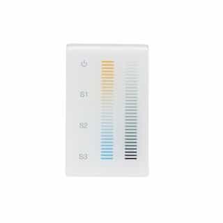 Tunable DMX Wall Mount Zone Controller, 12V-24V, White