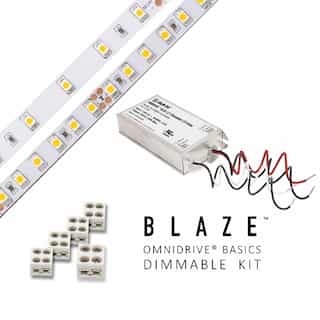 Blaze LED Tape Light Kit w/ UL Listed Omnidrive, 100 lm, 24V, 6300K