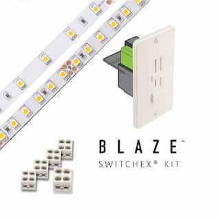 Diode LED Blaze LED Tape Light Kit w/ SwitchEx Driver & DIm, 100 lm, 24V, 6300K