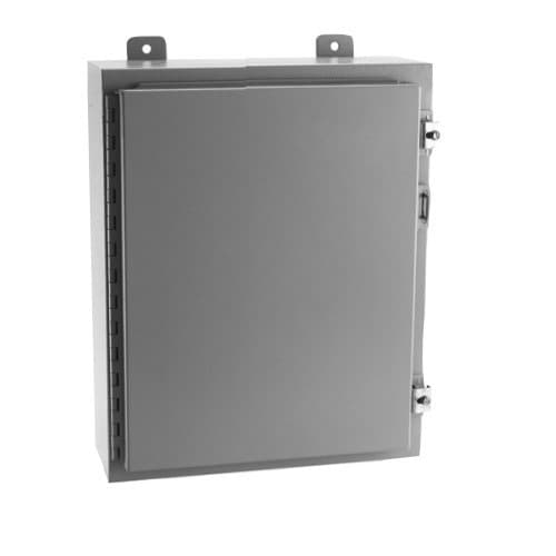 E-Box 3x1 Single Door Hinged Cover Enclosure w/ Clamps, NEMA 12