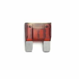FTZ Industries MAXI Smart Glow Blade Fuse, 10A, 2 Pack