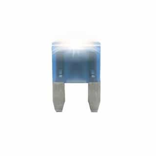 FTZ Industries MINI Smart Glow Blade Fuse, 15A, 2 Pack