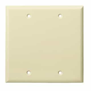 Almond Colored Thermoplastic Two-Gang Blank Wall Plate