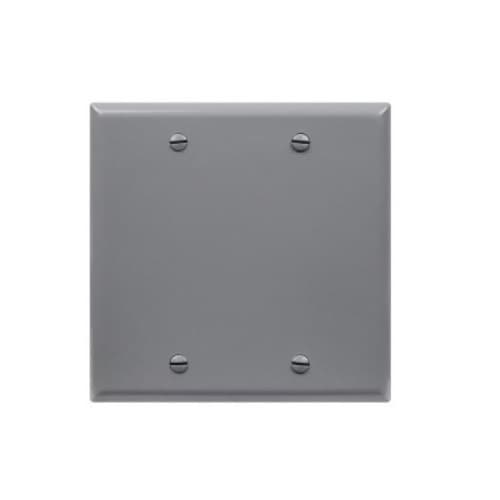 2-Gang Unbreakable Blank Wall Plate Cover, Polycarbonate, Gray