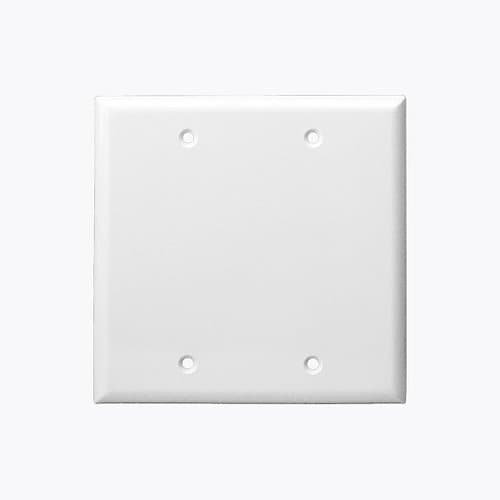 White Colored Thermoplastic Two-Gang Blank Wall Plate