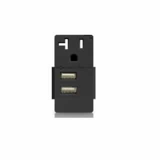 Enerlites 4.8A USB Outlet Module Replacement w/ 20A Receptacle, Black