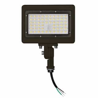 EnVision 15W LED Area Flood Light w/ Knuckle, 120V-277V, Selectable CCT, BRZ