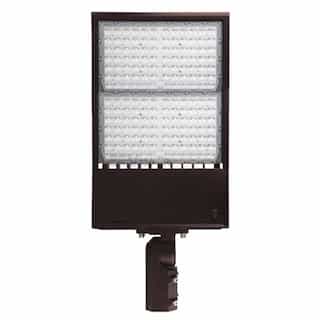 240W LED Area Light w/ Slip Fitter, 34800 lm, 120V-277V, 5000K, Bronze