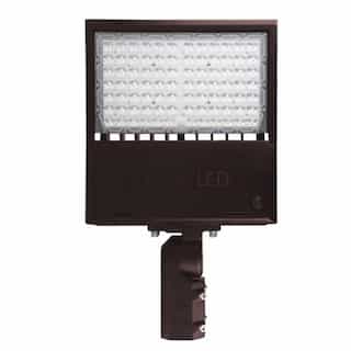 120/135/150W Area Light w/ Slip Fitter, 120V-277V, Selectable CCT, BRZ