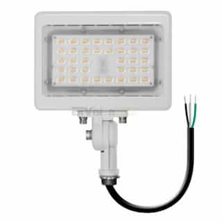 EnVision 30W LED Area Flood Light w/ Knuckle, 3819 lm, 120V-277V, 3000K, White