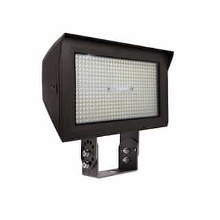 80-150W ARCY-Line TR Large Area Lights, 120-277V, Selectable CCT, BZ