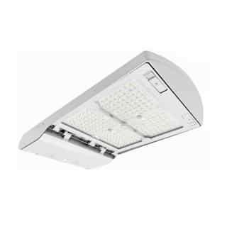 50-150W Optic-Line Large Area Light, 277-480V, Selectable CCT, WH