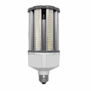 EnVision 18/27/36W LED Corn Bulb, Direct Wire, E26, 120V-277V, Selectable CCT