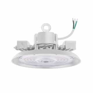 EnVision 20-150W RHB3 UFO High Bays, 10' Whip, 277-480V, Selectable CCT, White