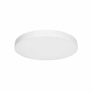 20W Trimless-Line Round Surface Mount, 120V, Selectable CCT, White