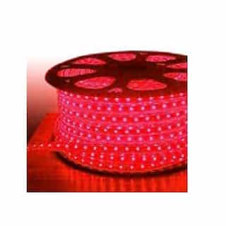 EnVision 100-ft 4W/ft Architectural LED Strip Light, 90 lm, 120V, Red