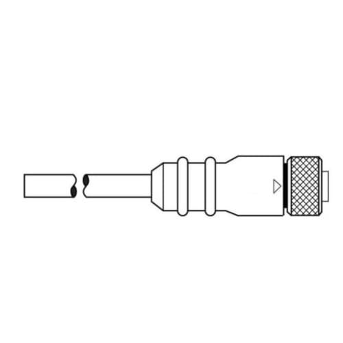 6-ft Micro-Sync, Dual Key, Single-End, Female, 2-Pole, 4A, 300V